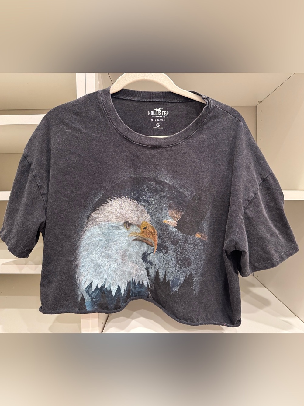 Hollister 100% Cotton Bald Eagle Cropped T-Shirt, Size XL